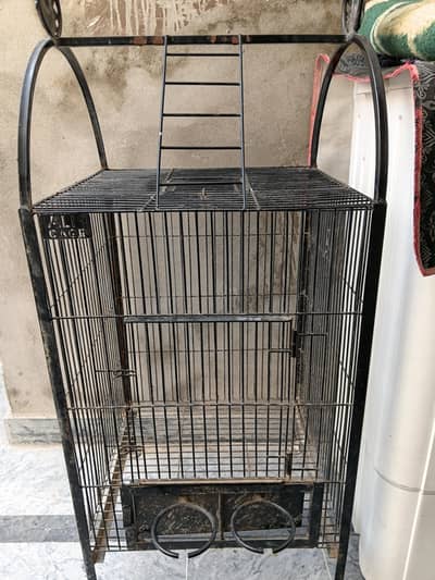 cage African parrot and Macau