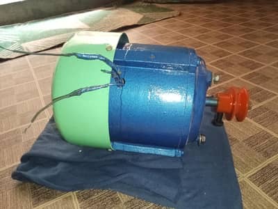 Washing Machine Motor