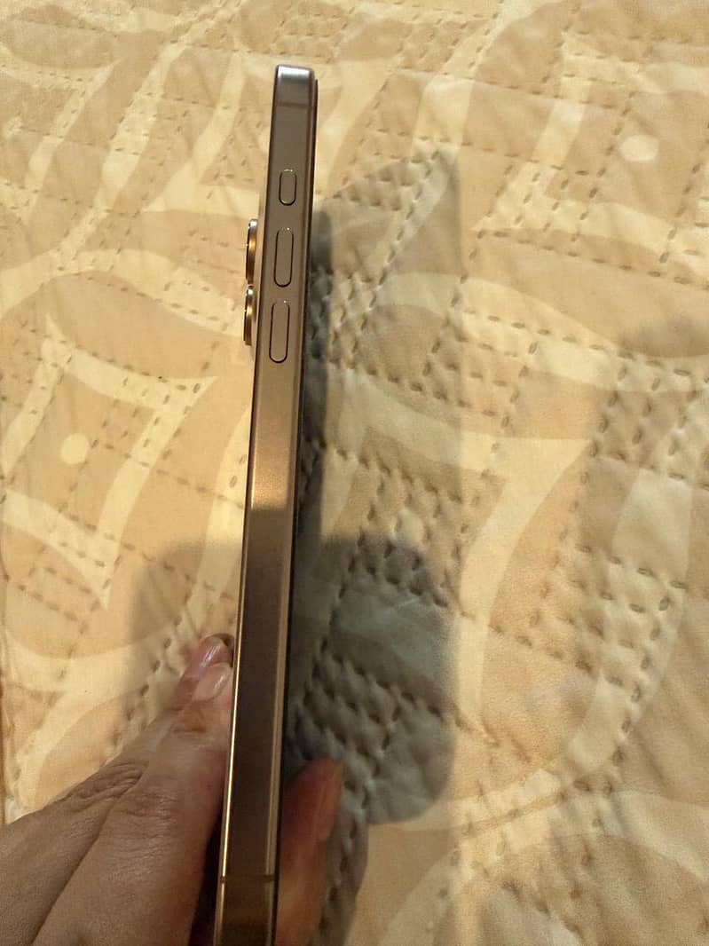 Apple iPhone 16 Pro Max 1