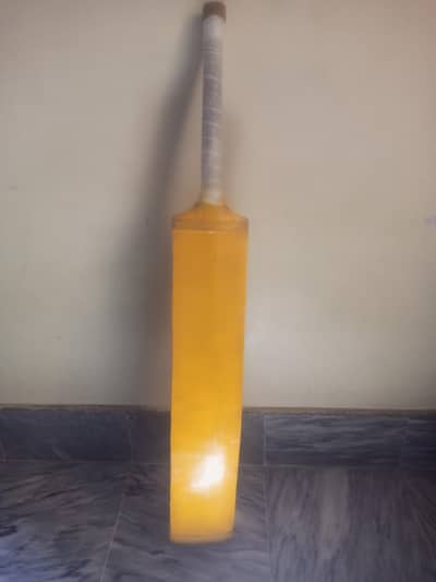 coconut original bat ha