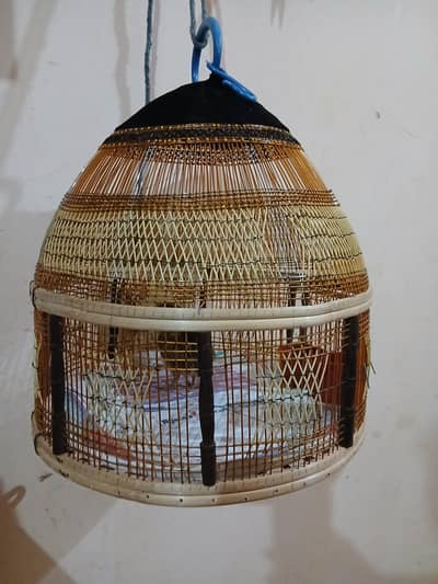 Antique Birds Cage