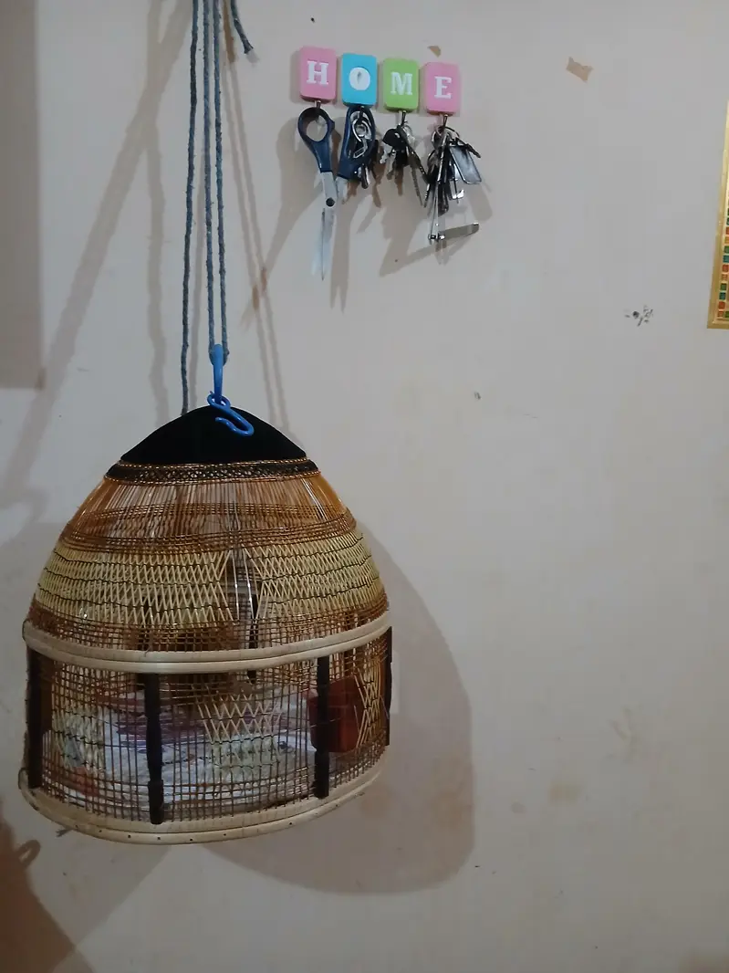 Antique Birds Cage — photo 2
