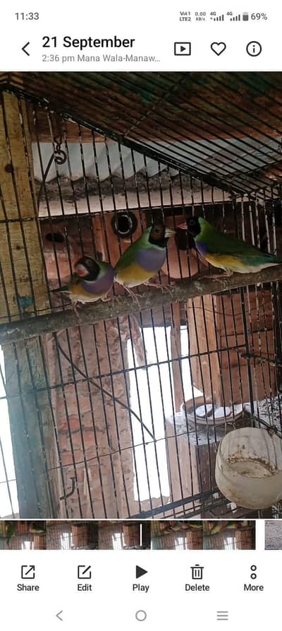 guardian female exchange bhi ho sakti hai