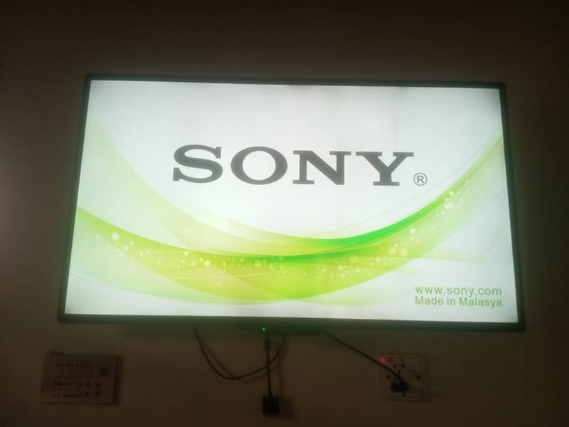 led big size 0