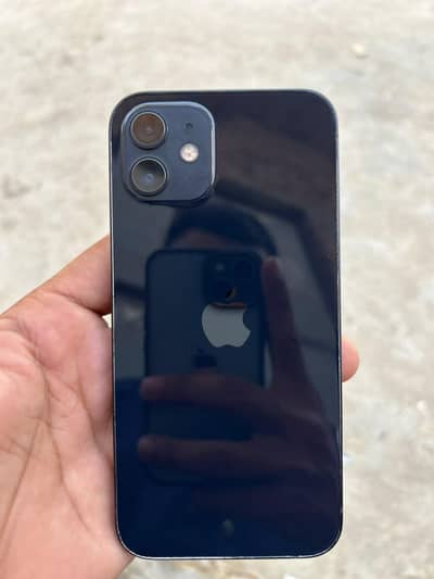 Apple iPhone 12