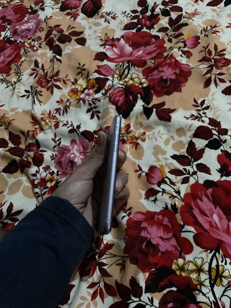 Apple iPhone 11 4