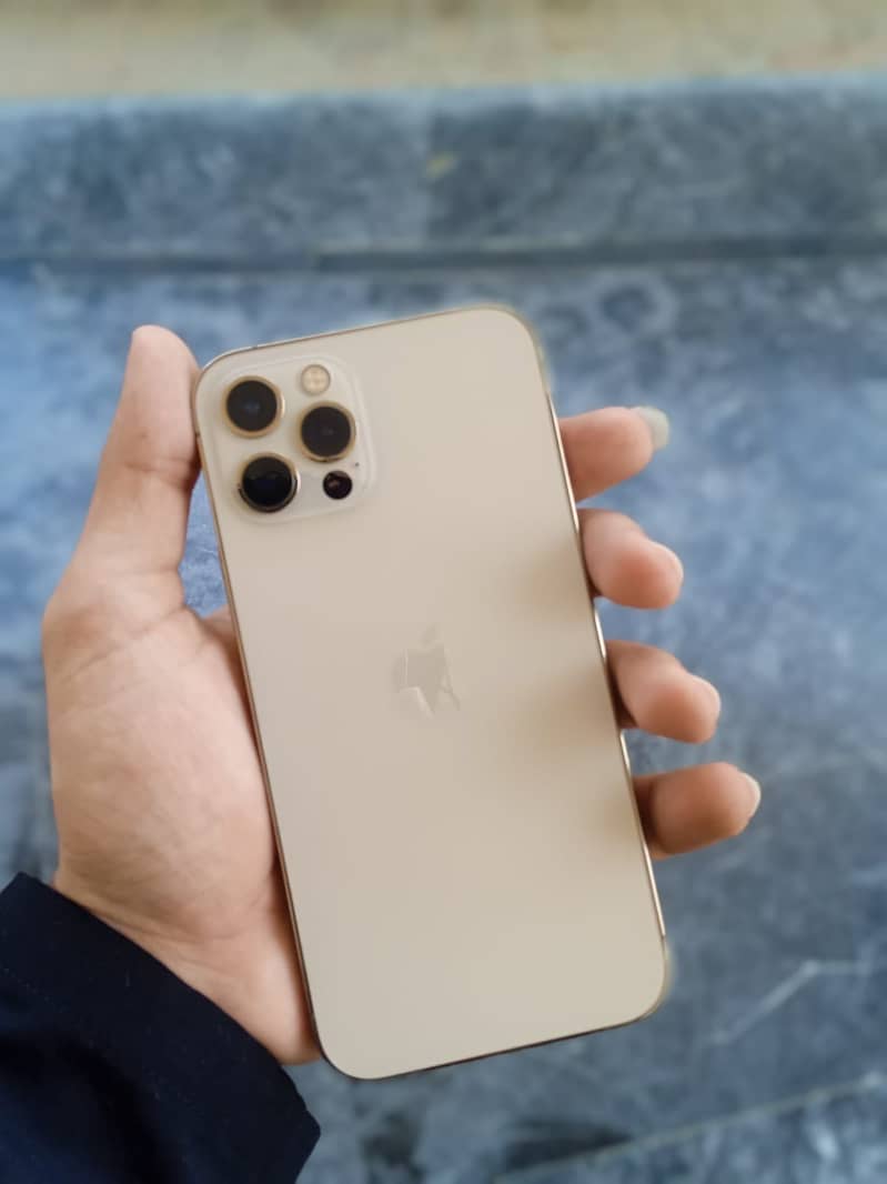 Apple iPhone 12 Pro 1