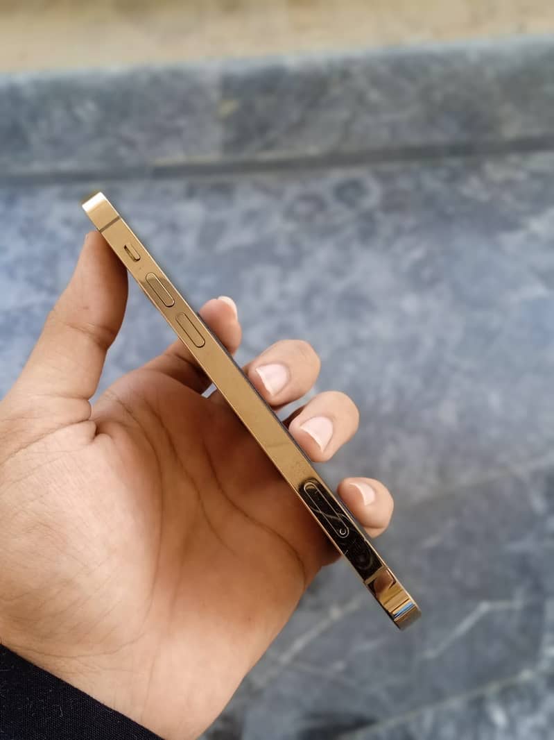 Apple iPhone 12 Pro 4