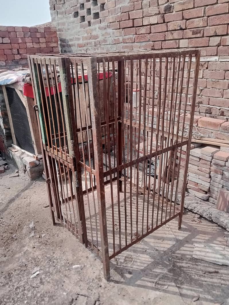 برائلر مرغیوں کا مضبوط لوہے کا جال – برائے فروخت!  2