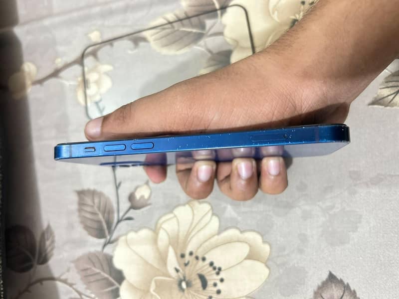 Apple iPhone 12 2