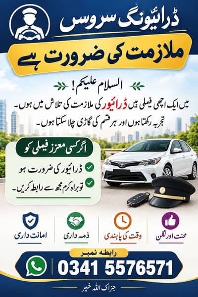 A professional driver need driving job