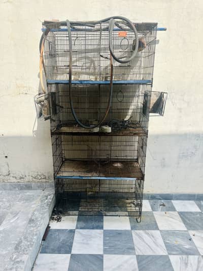 Bird Cage for Sale – Spacious & Well-Maintained! 