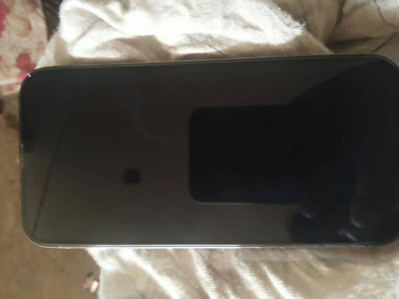 Apple iPhone 13 Pro Max 0