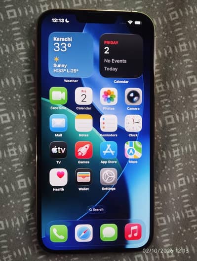 Apple iPhone 13 Pro Max