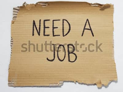 Job Chahiyay / Job Needed