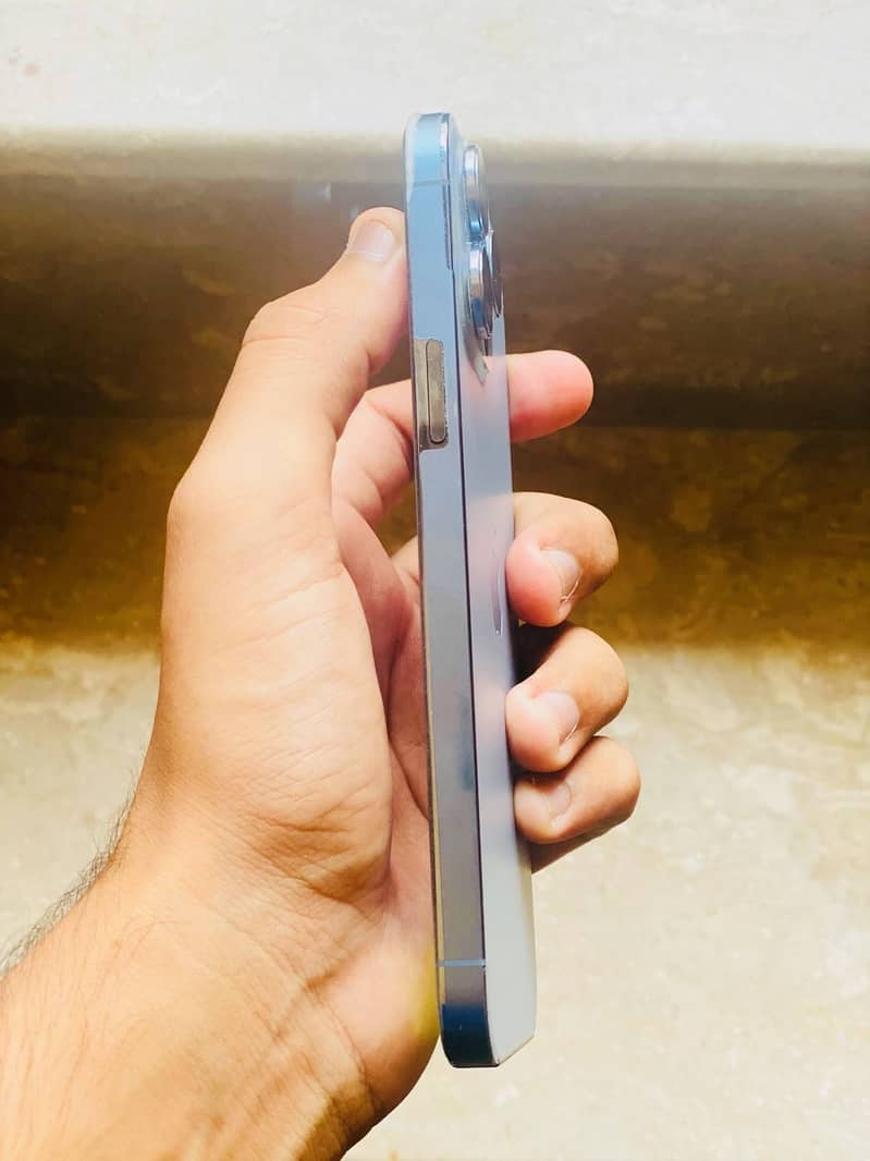 Apple iPhone 13 Pro Max 0