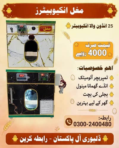25 انڈوں والا انکیوبیٹر - سیمی آٹومیٹک - 95% ہیچنگ