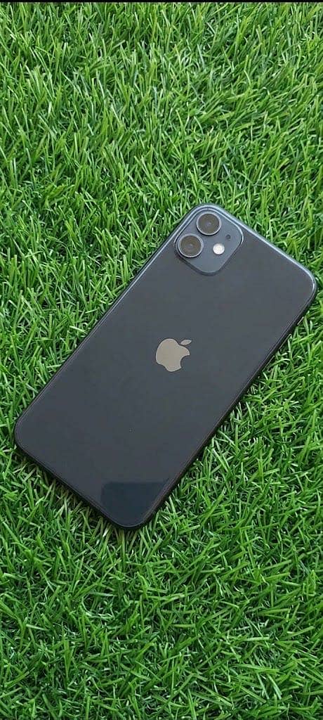 Apple iPhone 11 0