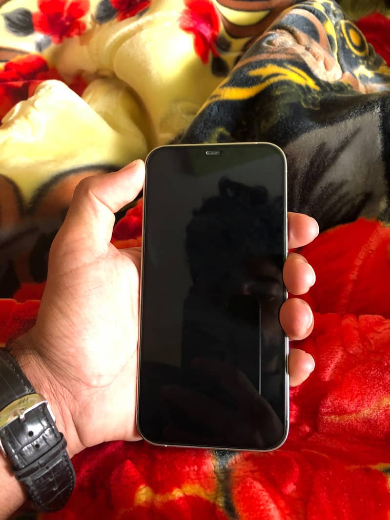 Apple iPhone 12 Pro 1