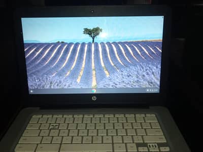 chrome book
