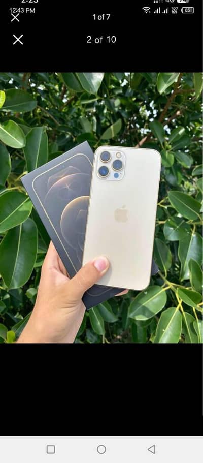 Apple iPhone 12 Pro Max