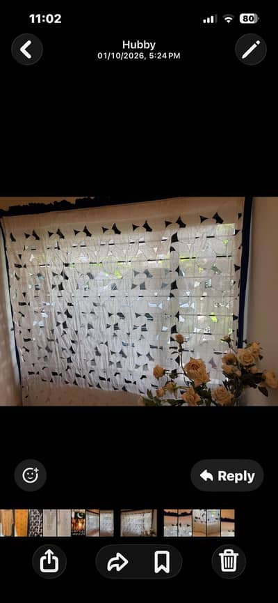White and blue curtain