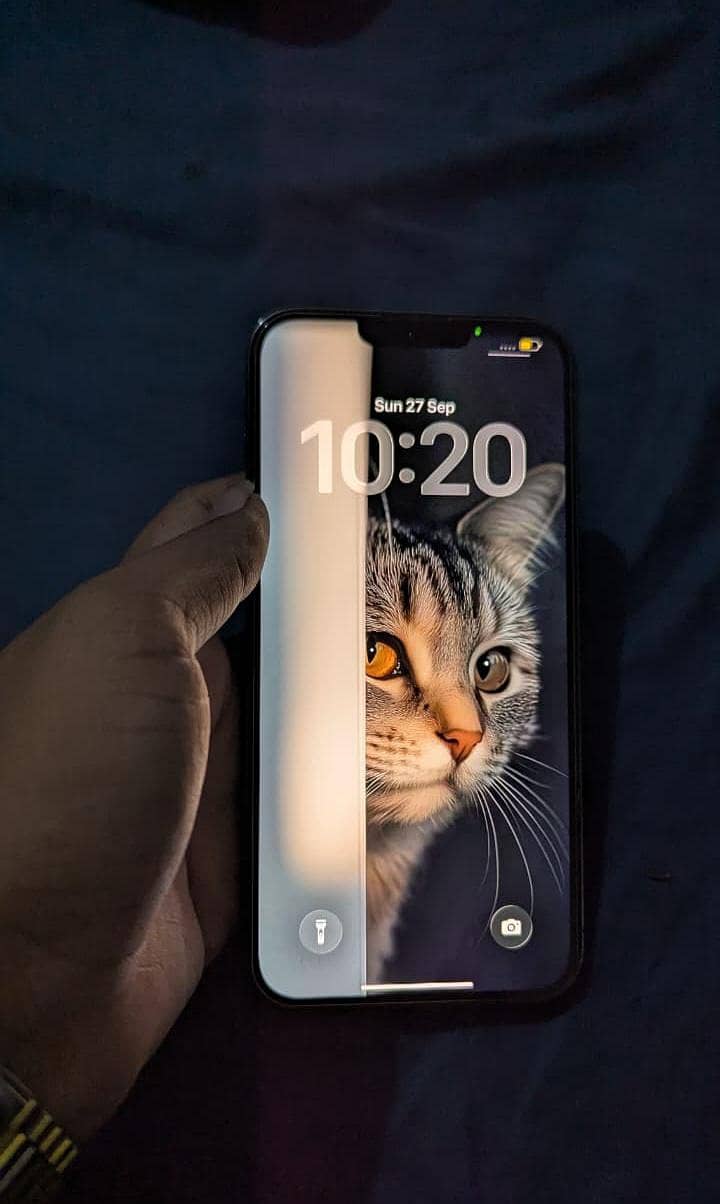 Apple iPhone 13 Pro Max 8