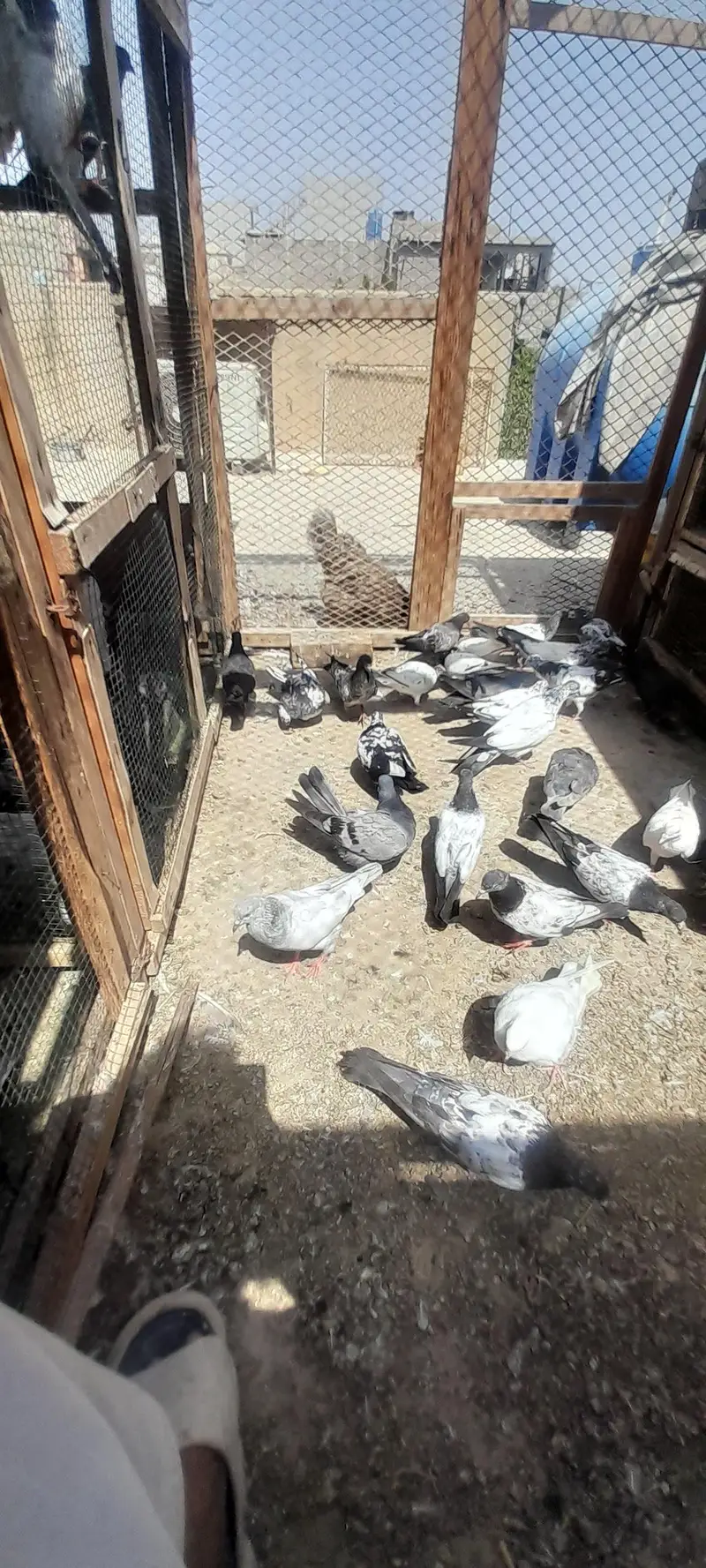 today ,harray,,battery,Nelly,lakhay — photo 4