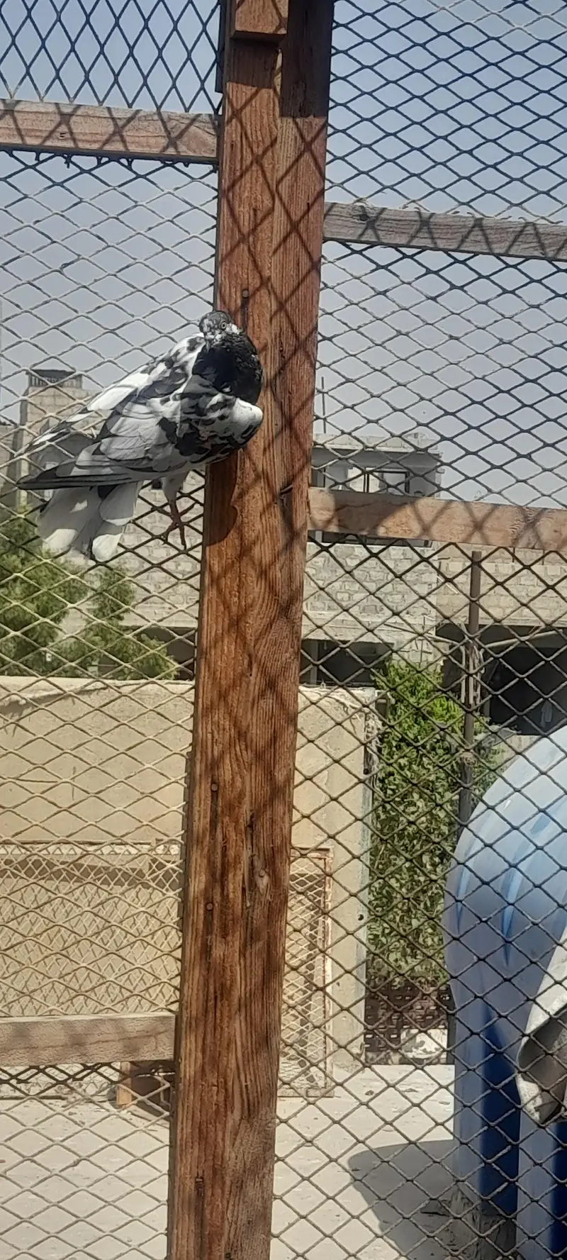 today ,harray,,battery,Nelly,lakhay — photo 10