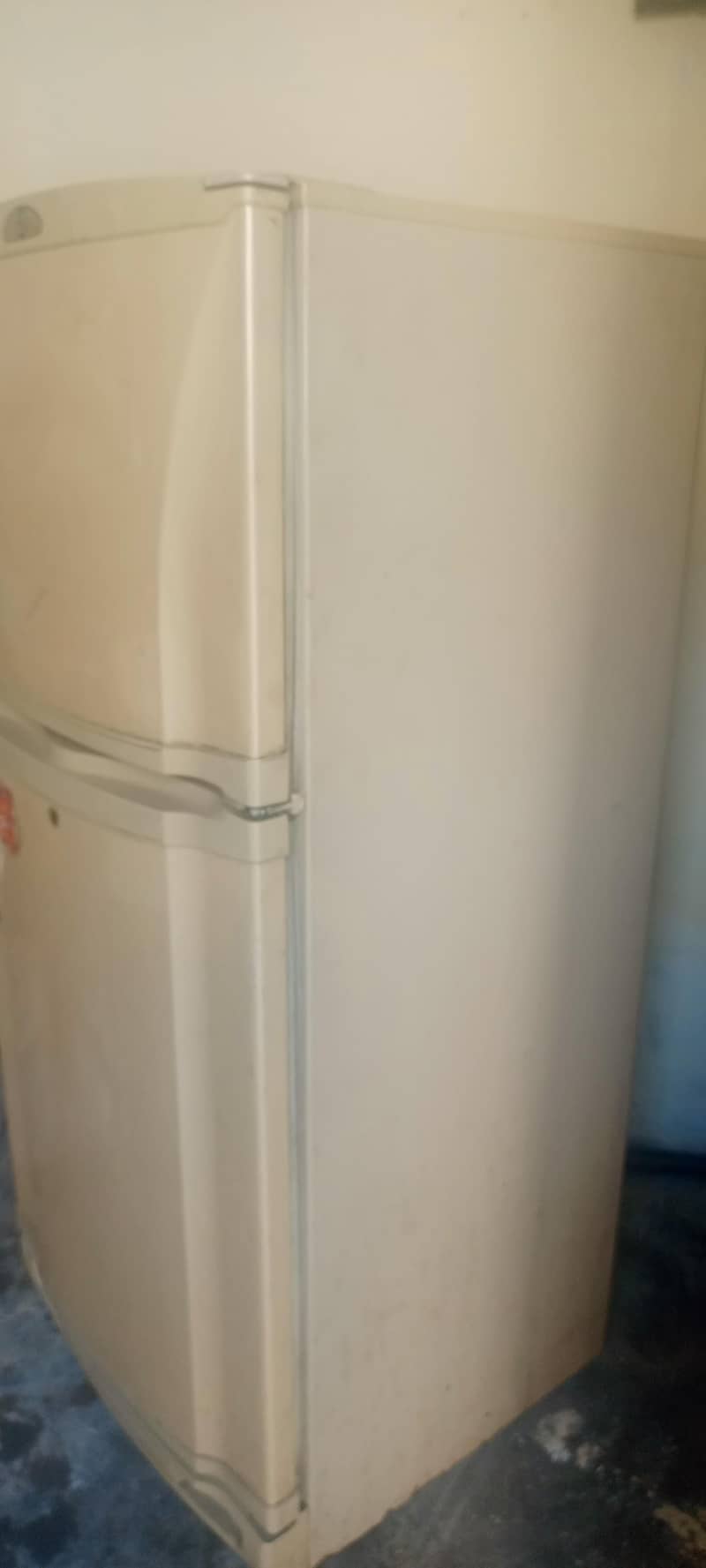 PEL fridge 1