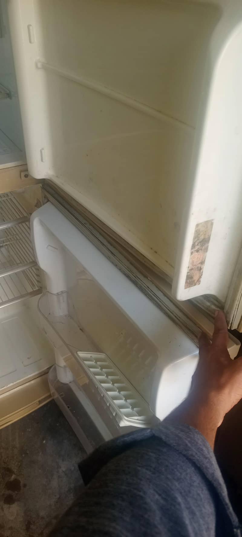 PEL fridge 2
