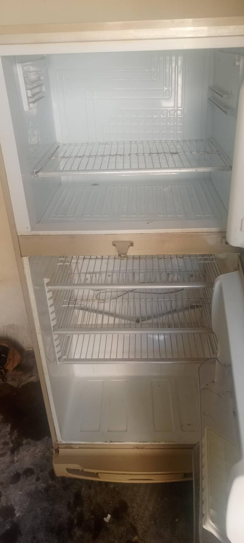 PEL fridge 3
