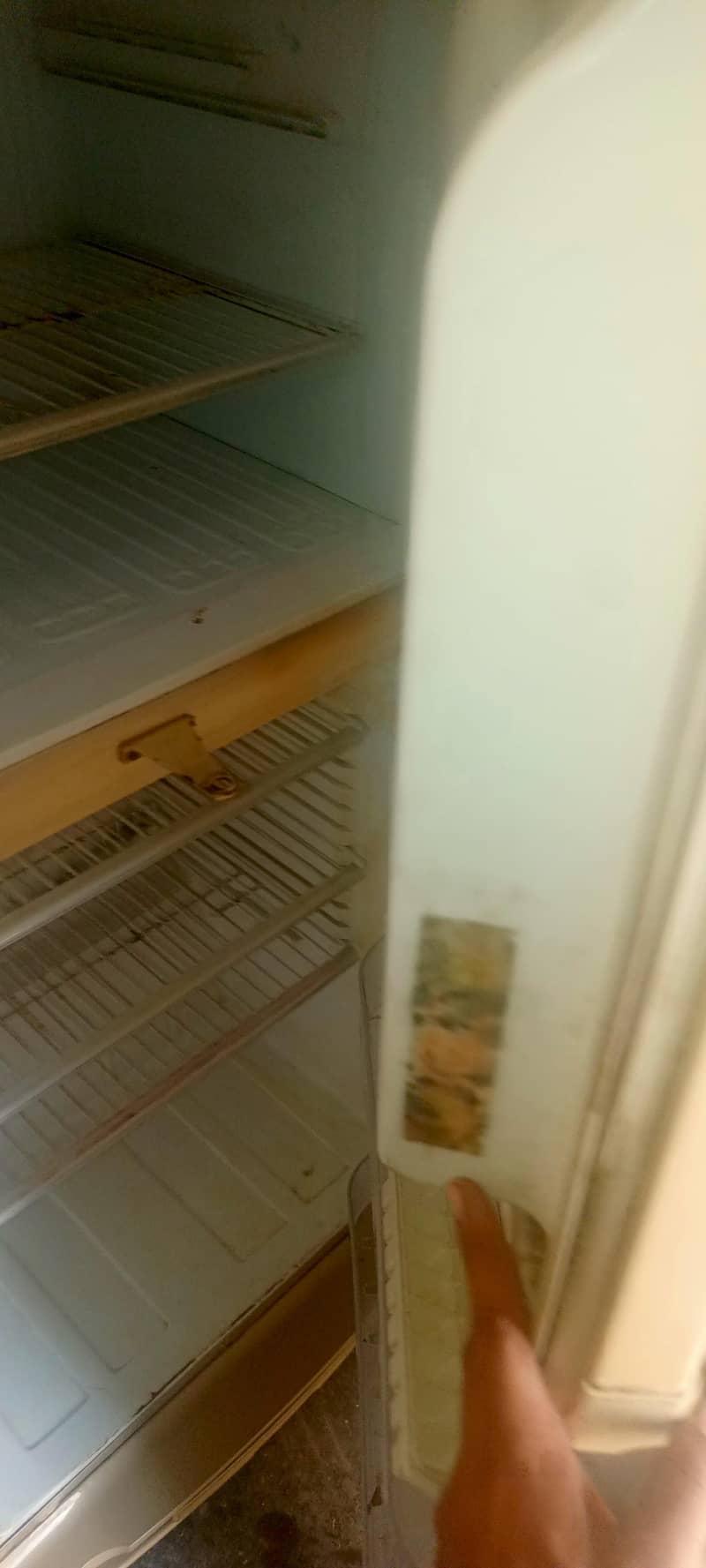 PEL fridge 4