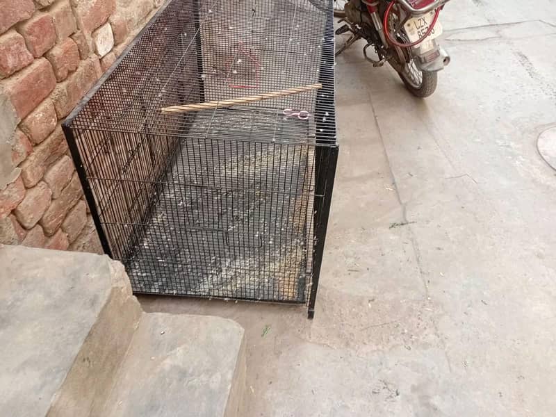 cage good condition 1
