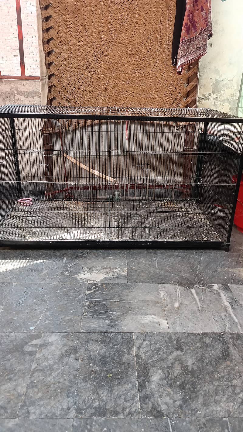 cage good condition 3