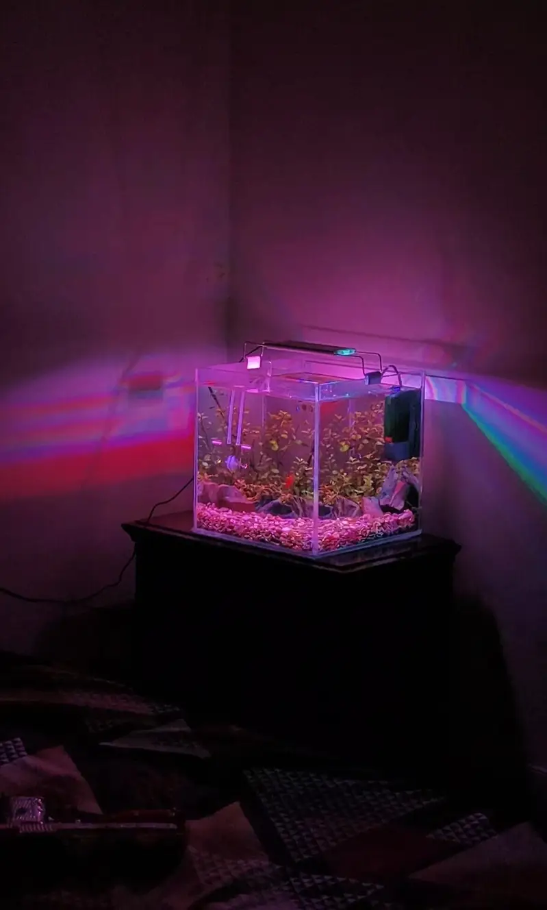 aquarium — photo 5