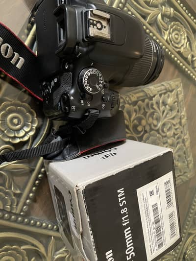 Canon EOS 600D DSLR + 18-55mm Lens + EF 50mm f/1.8STM (Boxed), FullKit