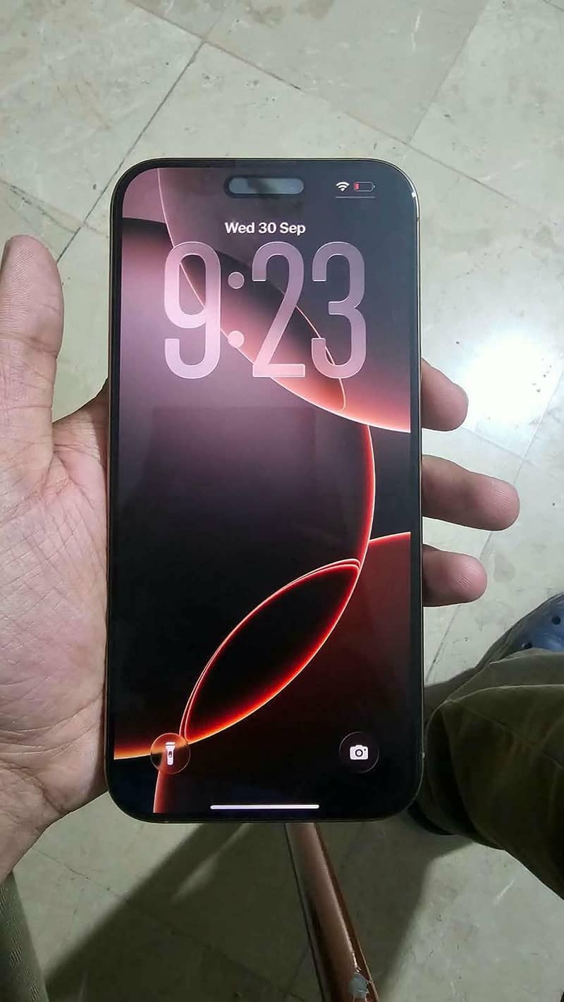 Apple iPhone 16 Pro Max 1