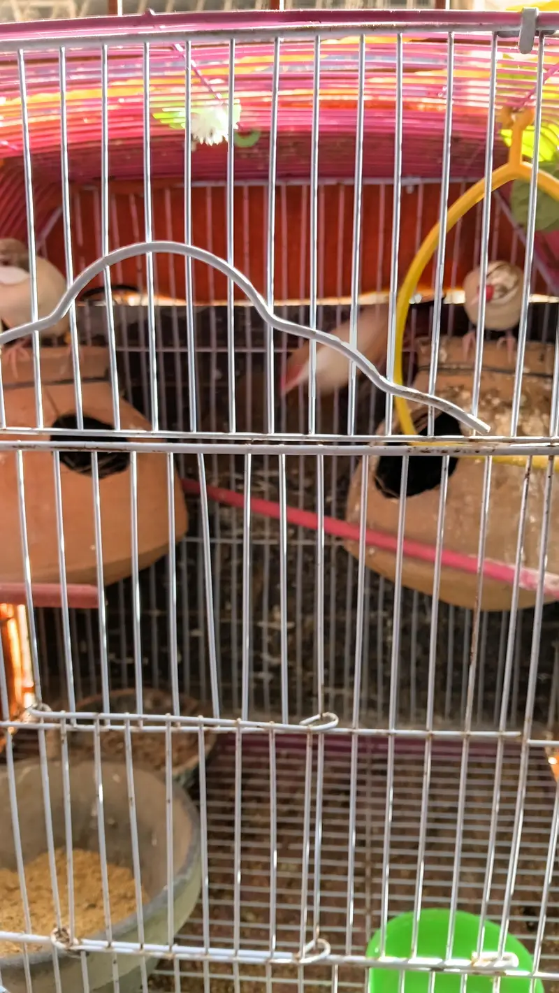 0309 2149536 — photo 3