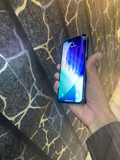 Apple iPhone 12 Pro factory unlocked