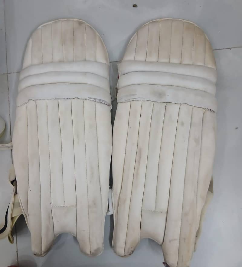 Cricket Kit 1