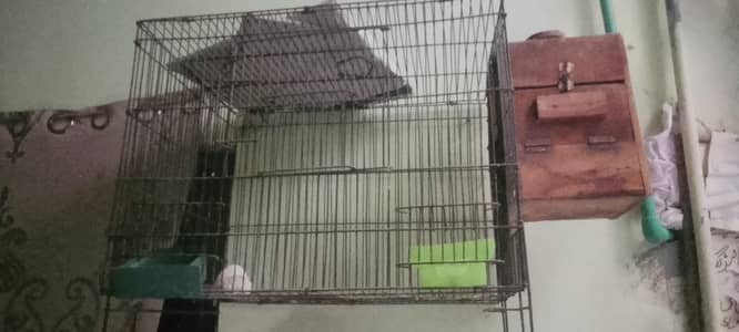 bird cage fordagle 3 PCs only