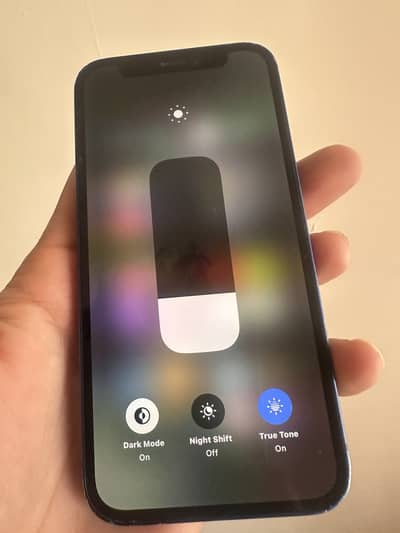 Apple iPhone 12