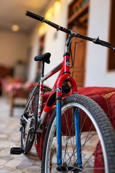sports cycle