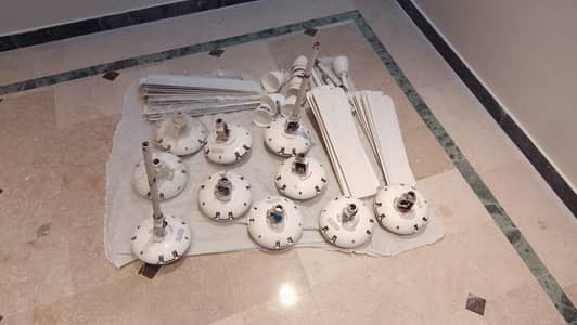 Deluxe Pak Fans