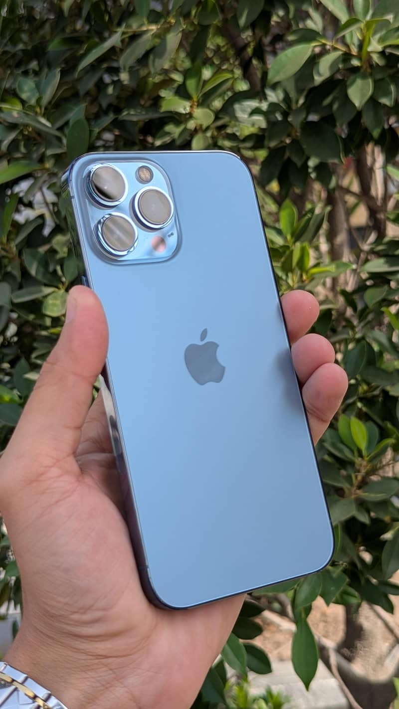Apple iPhone 13 Pro Max 6