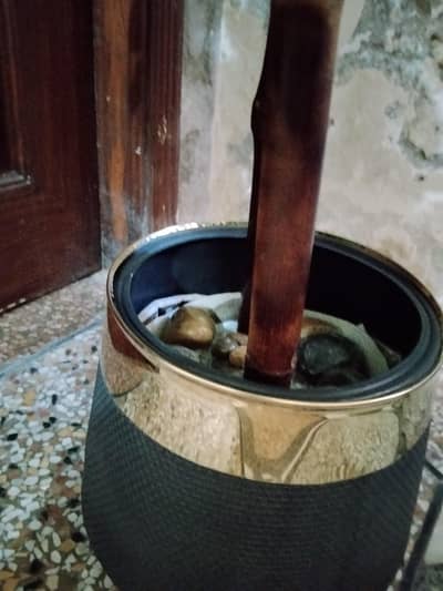 plant for sale