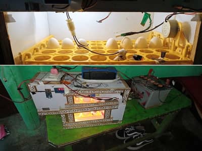 incubator sele