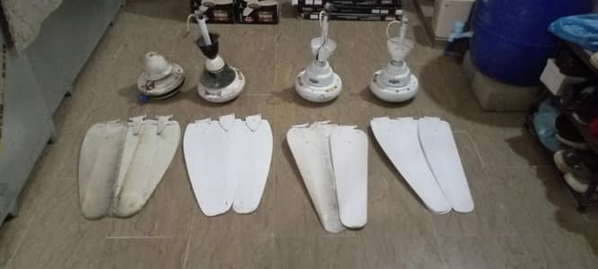 4 Rado dream fan for sale  normal fan