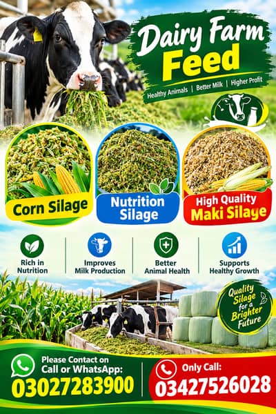 Corn Silage/ Silage for Sale/ Animal Feed/ Maki Silage Good Quality